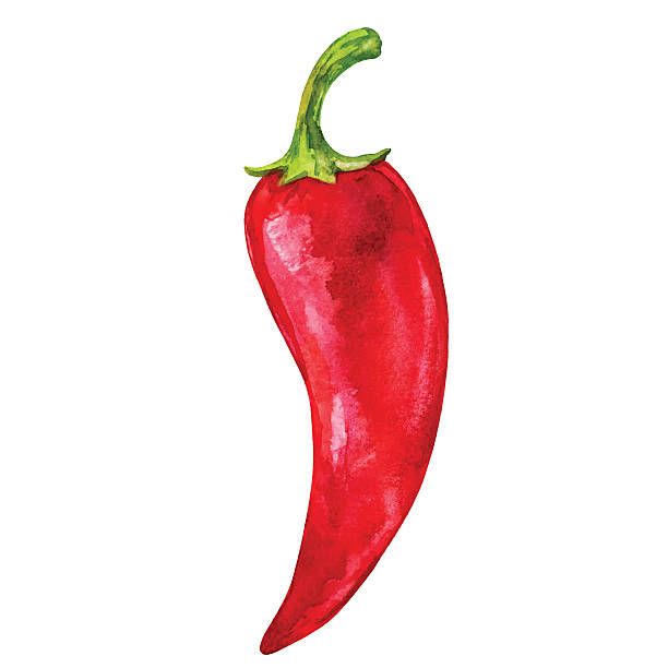 a drawing of a red chili pepper on a white background with clipping area for text