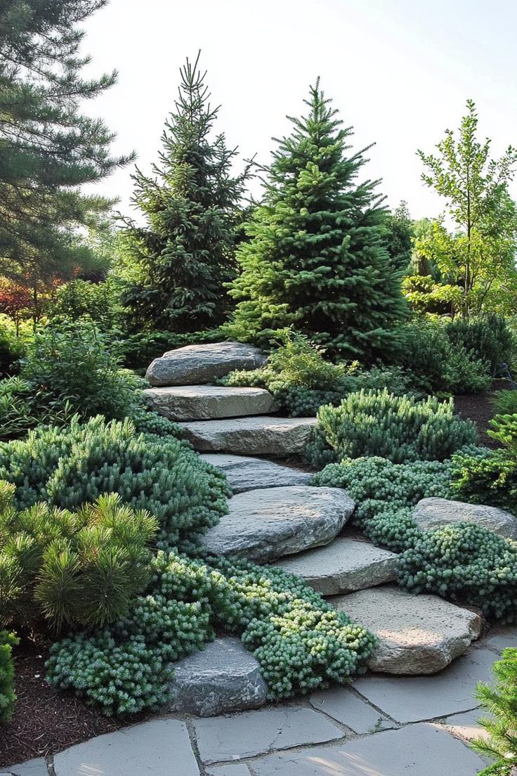 a stone path surrounded by evergreen trees and rocks in the middle of a garden area