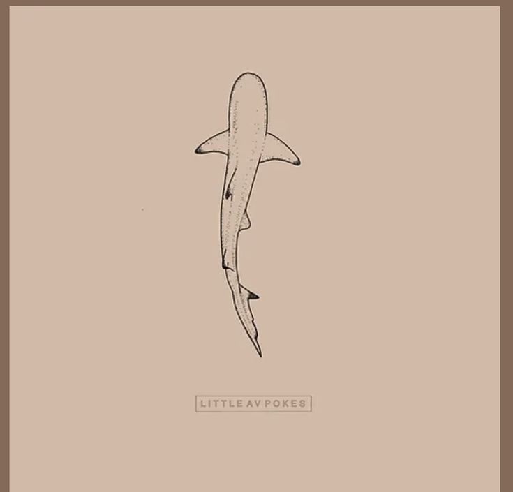 a drawing of a shark in black and white on a beige background with the words little beaver