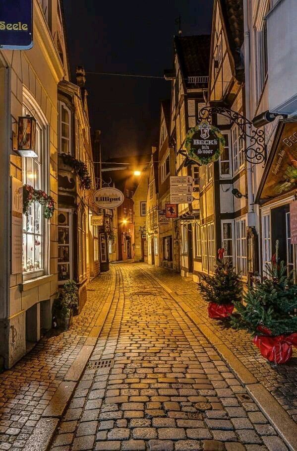 an empty cobblestone street at night in europe