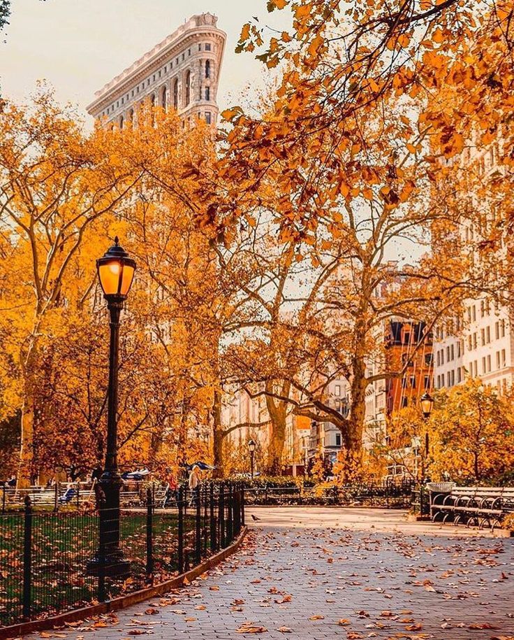 an empty street in the fall with leaves on the ground and tall buildings behind it