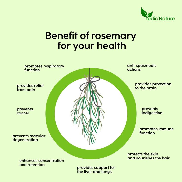 The rosemary plant has been used for centuries to benefit human health. 🌿🌿🌿 It has a host of benefits that make it an ideal ingredient for all kinds of dishes! Not only can it help boost flavor, but it's also known for its anti-spasmodic actions, skin protection and nourishment for the hair, brain protection, immune support, and more. Have you tried using rosemary to support your health? #RosemaryBenefits #RosemaryPower #RosemaryForHealth #rosemary #ayurveda #rosemaryplant #herbs Rosemary Health Benefits, Rosemary Benefits, Using Rosemary, Nature Benefits, Rosemary Plant, Killer Workouts, Workout Plans, Immune Support, Have You Tried