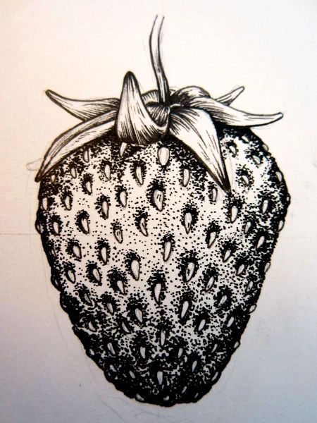 a black and white drawing of a strawberry with a bow on it's head