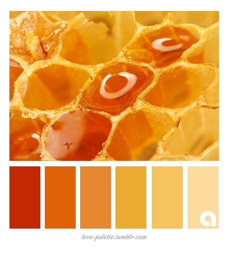 the color scheme is orange and yellow, with honeycombs in it's center