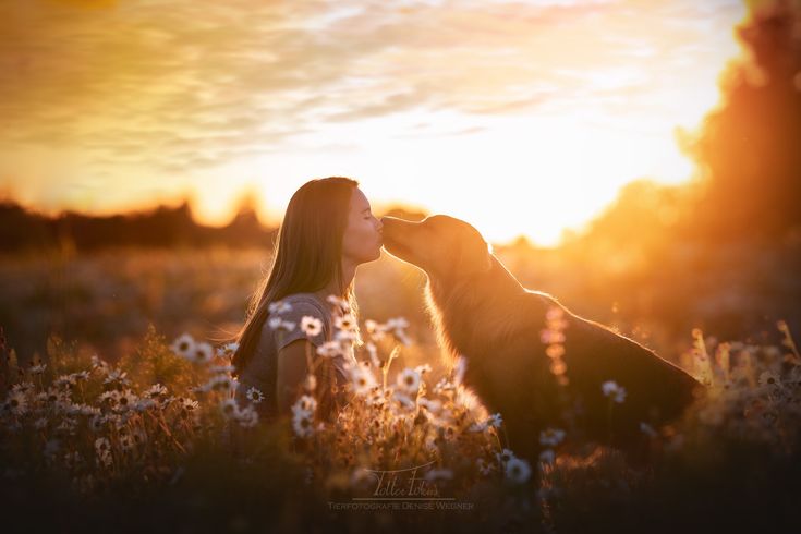 a woman kissing her dog in the middle of a field with daisies at sunset