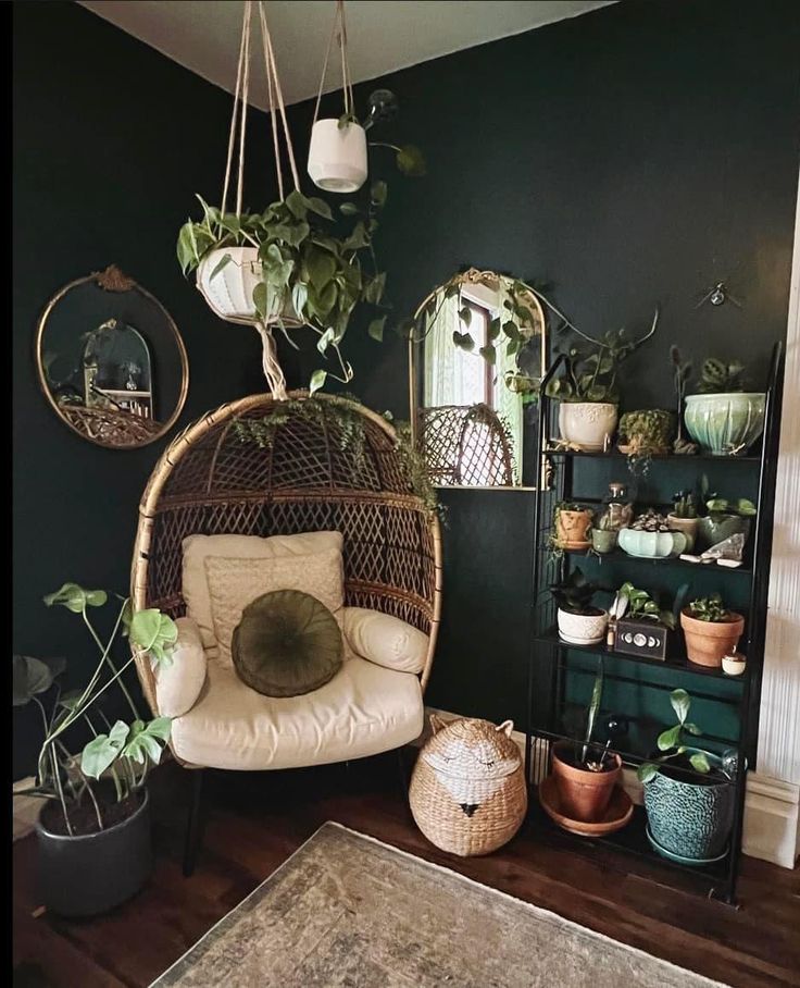 a living room filled with lots of potted plants and hanging planters on the wall