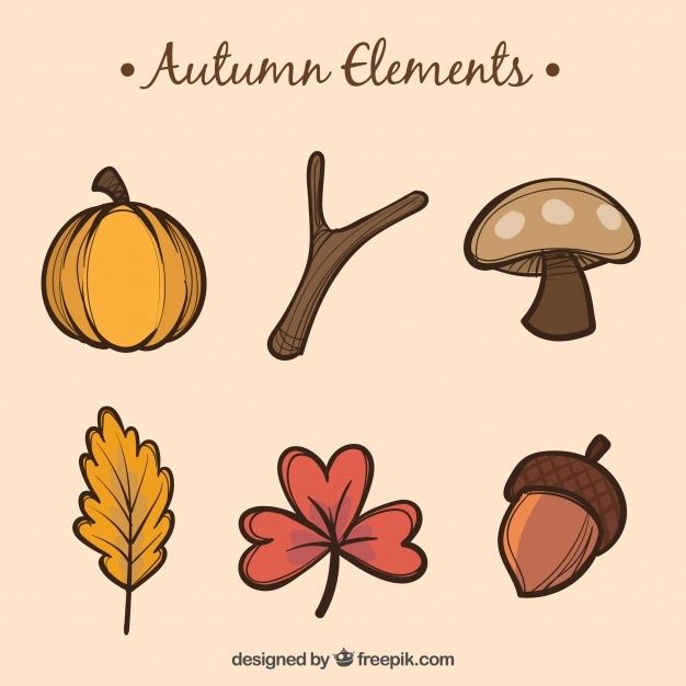 an autumn element set with leaves, mushrooms and acorns