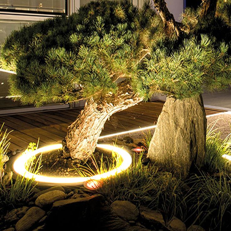 a bonsai tree is lit up at night in front of a house with rocks and grass