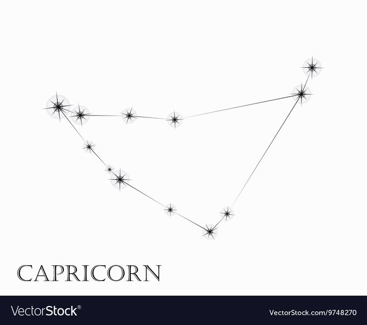 the capricorn zodiac sign on a white background with space for your text or image