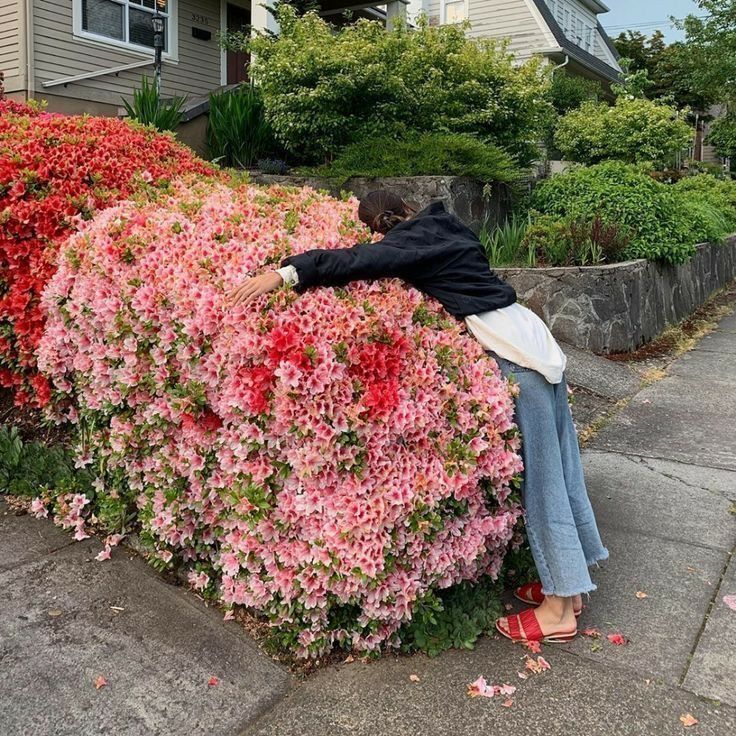 a woman sitting on top of a large flower bush next to a house in the fall