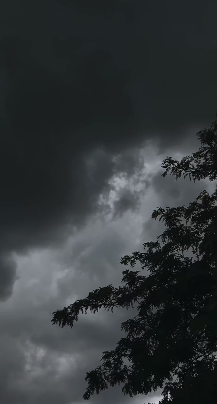 Rainy sky Dark Clouds, The Sky, Trees