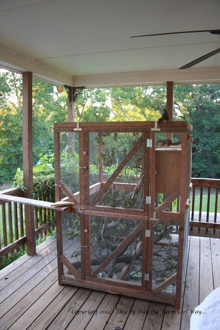 a bird cage sitting on top of a wooden deck next to a tree filled forest