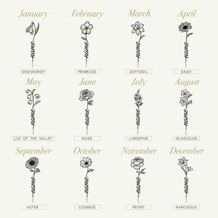 twelve months of the year with flowers in each month, and their names on them