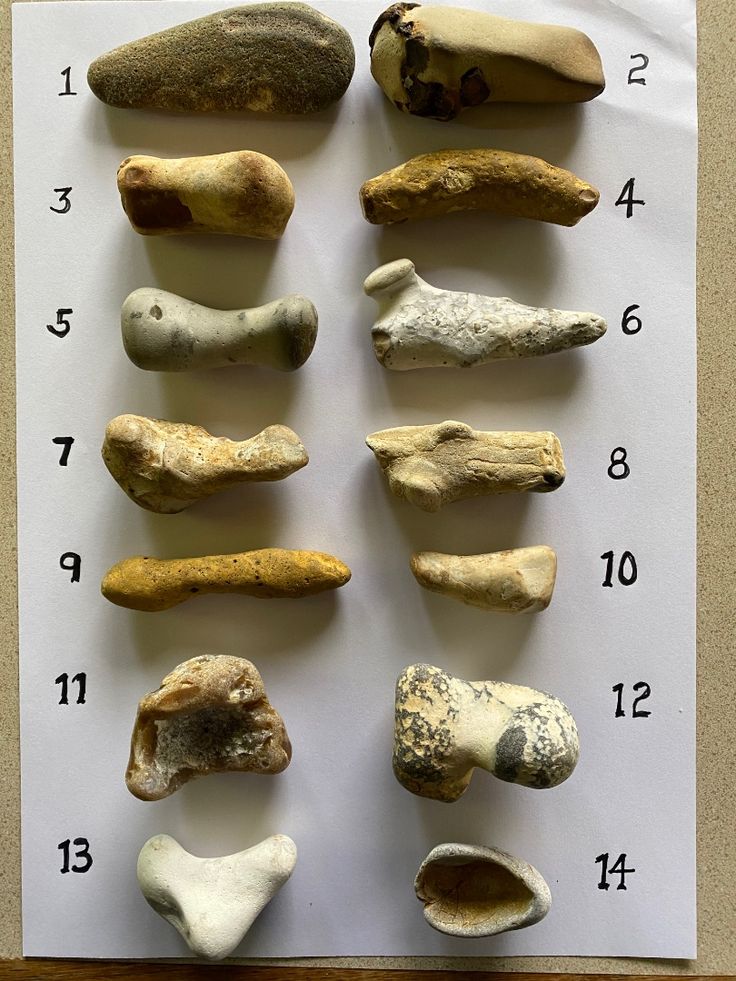 a group of different rocks on top of a sheet of paper with numbers in the middle