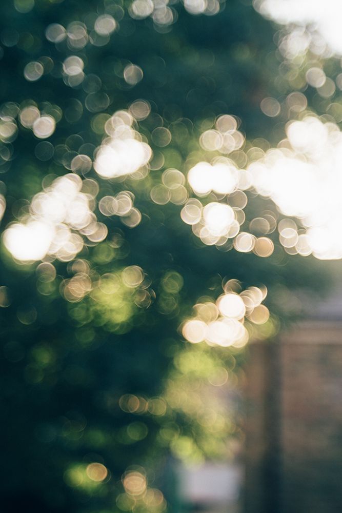 blurry image of trees and buildings in the background with sunlight coming through leaves on them