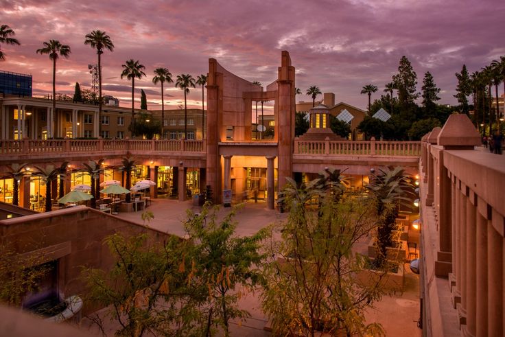 an outdoor courtyard at dusk with palm trees