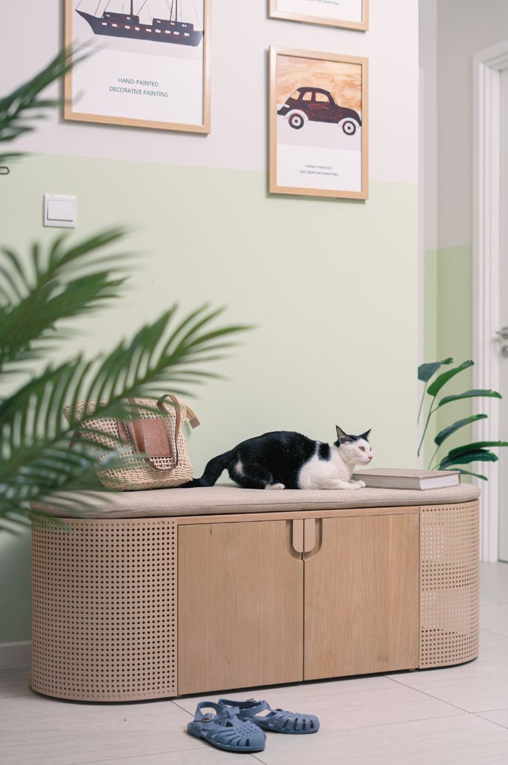 a black and white cat sitting on top of a wooden cabinet