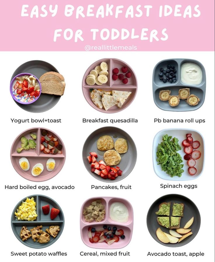 the easy breakfast ideas for toddlers that are great to use in school or at home