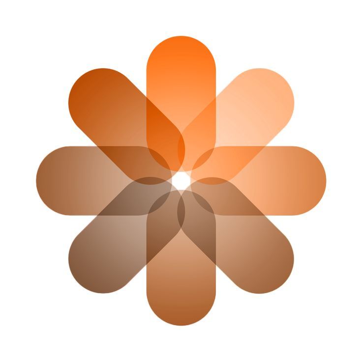 an orange and brown flower on a white background