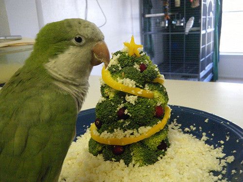 a green parrot standing next to a christmas tree made out of broccoli and oranges