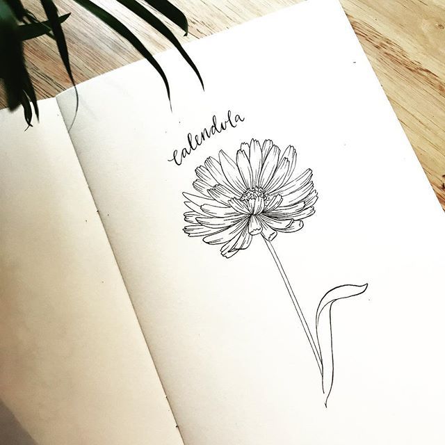 an open book with a drawing of a flower