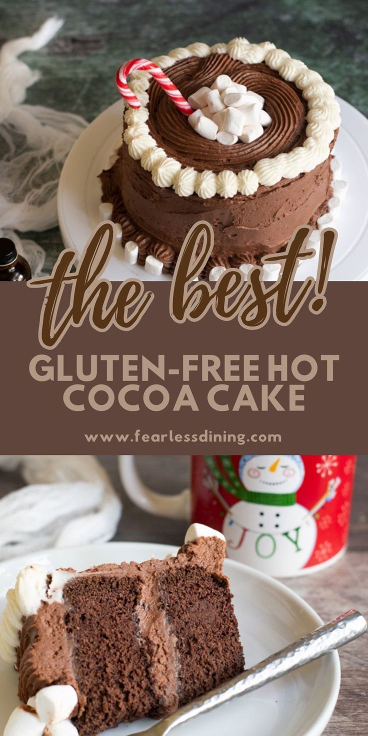 the best gluten - free hot cocoa cake