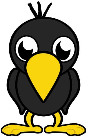 a black and yellow bird with big eyes