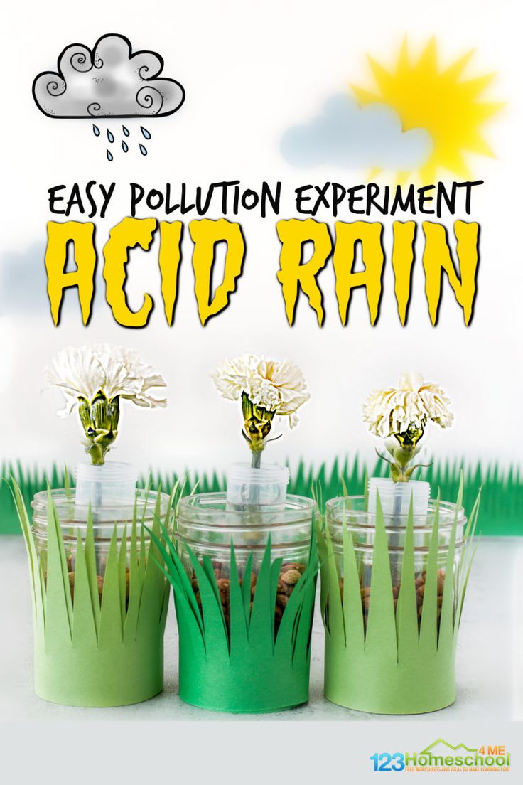 three plastic cups with flowers in them and the words easy pollution experiment acid rain above them