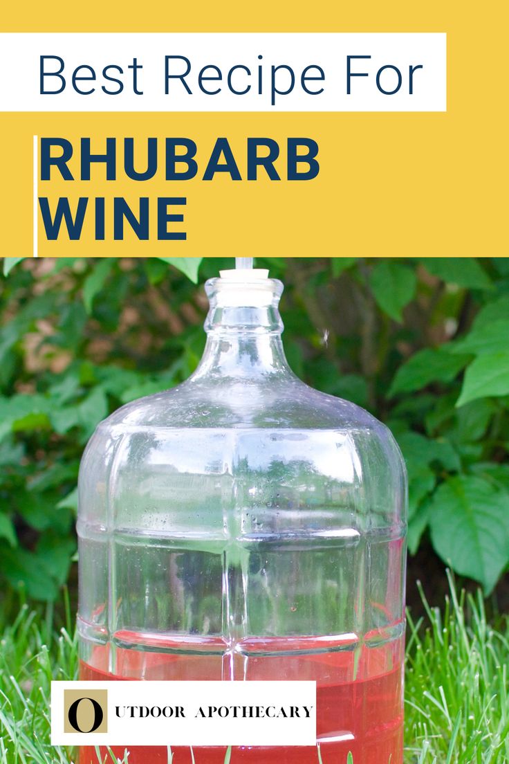 the best recipe for rhubarb wine in a glass bottle on green grass