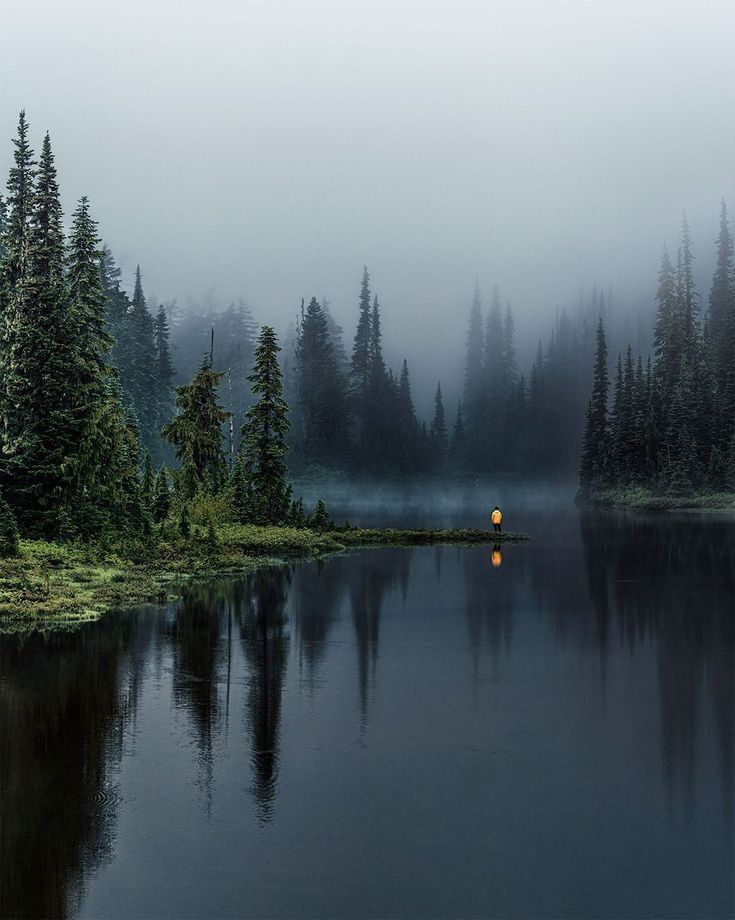 a body of water surrounded by trees on a foggy day in the woods with an orange light