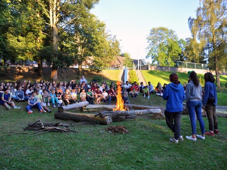 a group of people sitting around a fire pit in a park with trees and grass