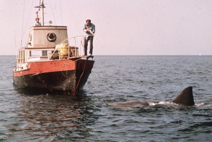 two men on a boat in the ocean with a shark nearby and another man standing on top of it