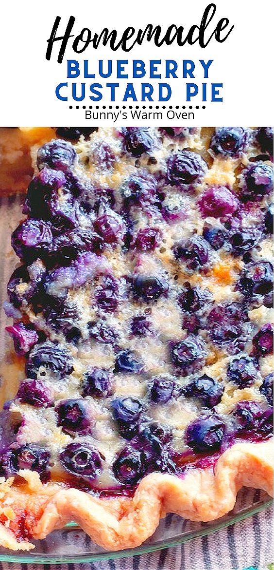 Homemade Blueberry Custard Pie sitting in a clear glass pie plate. Blueberry Pina Colada Pie, Blueberry Pie Filling Uses, Pie Blueberry Recipe, Blueberry Custard Crumble Pie, Blackberry Custard Pie Recipe, Custard Fruit Pie, Cold Blueberry Pie, Blueberry Custard Cake, Blueberry Lemon Custard Pie