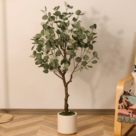 a small potted tree sitting on top of a wooden floor next to a chair