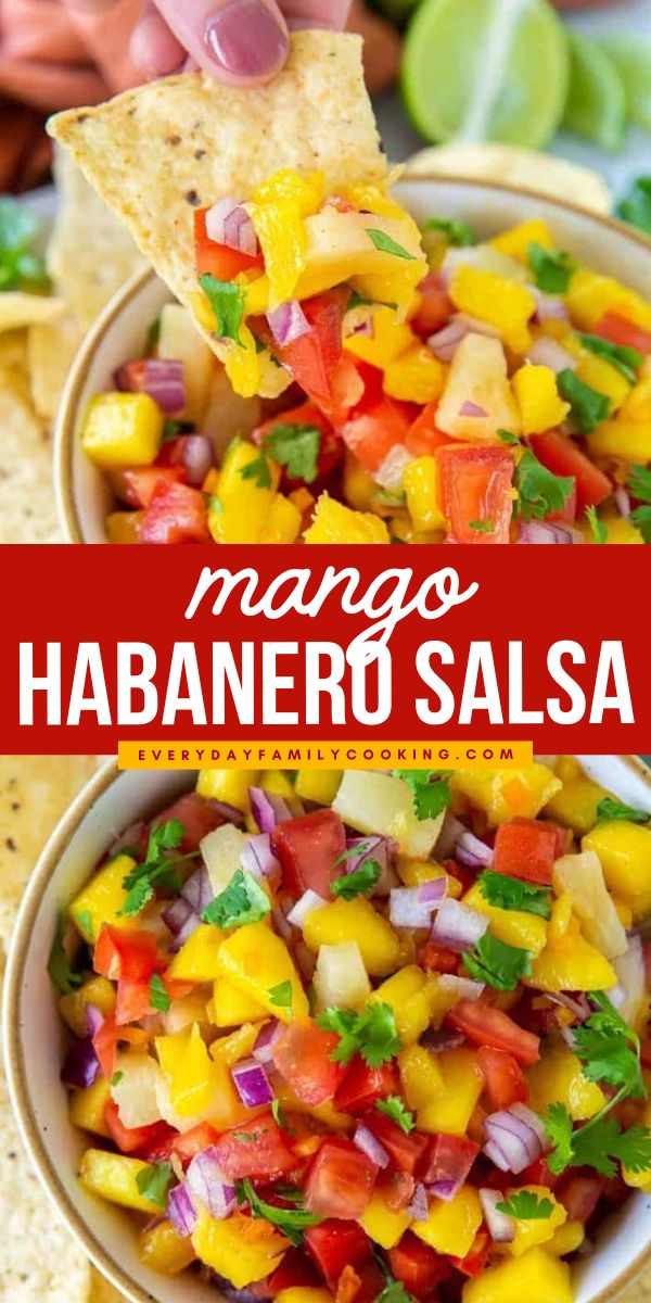 Looking for summer party appetizers? This mango habanero salsa is a great Mexican-inspired dish for summer parties! This tangy, spicy, and sweet dish is an excellent alternative to traditional salsa recipes. Give this recipe a try and impress your guests with a restaurant-quality, fiery dip! Habanero Salsa Recipe, Mango Habanero Salsa, Fresh Mango Salsa, Habanero Salsa, Mango Salsa Recipes, Mild Salsa, Easy Salsa, Salsa Recipes, Spicy Salsa