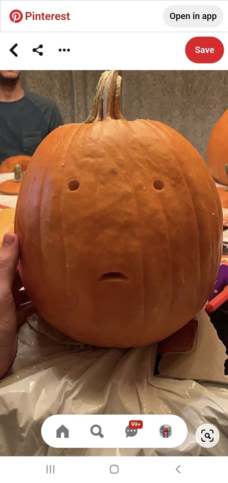 a person holding up a giant pumpkin in front of them