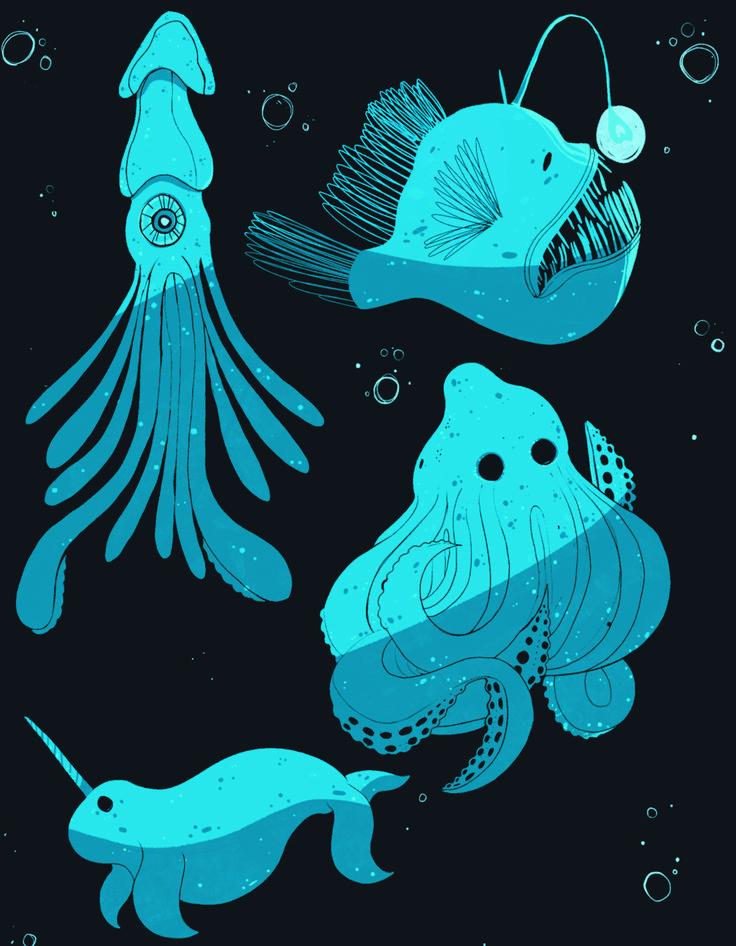 three different types of sea animals floating in the water