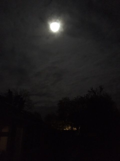 the full moon shines brightly in the dark night sky above some houses and trees