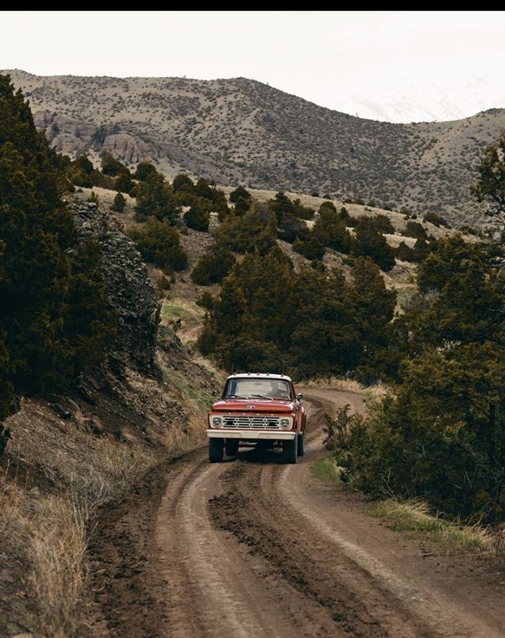 an old red truck driving down a dirt road in the middle of trees and bushes