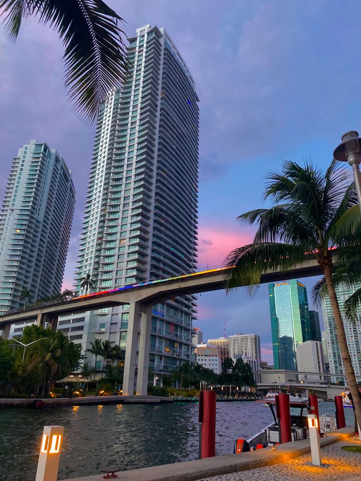 palm trees line the shoreline in front of high rise buildings at dusk, with lights on