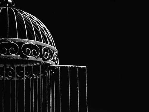 a black and white photo of a birdcage with the top half open, in front of a dark background