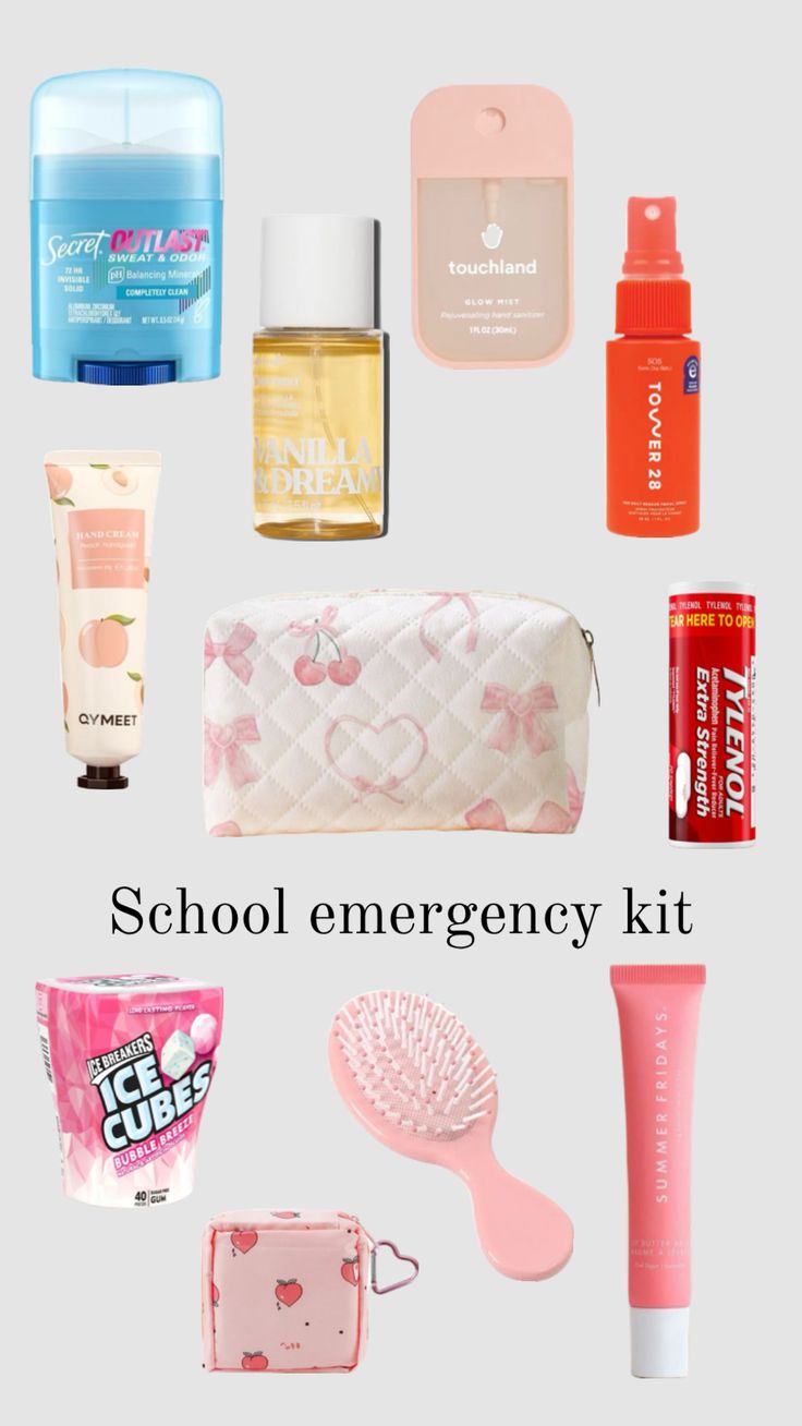 the contents of an emergency kit are shown