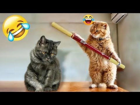 two cats sitting on a table and one is holding a large toothbrush in it's mouth