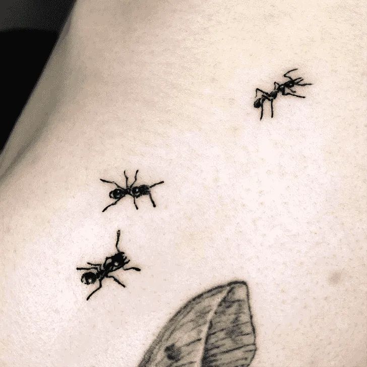 Ant Tattoo Design Images (Ant Ink Design Ideas) Ant Trail Tattoo, Ant Tattoo, Shoulder Blade Tattoo, Food Tattoos, Bug Tattoo, Insect Tattoo, Sweet Tattoos, Tattoo Design Ideas, Arm Sleeve Tattoos