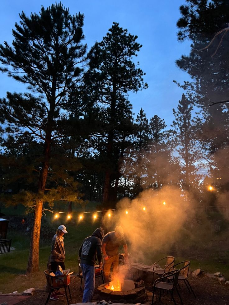 two men standing around a campfire with lights on the trees in the back ground