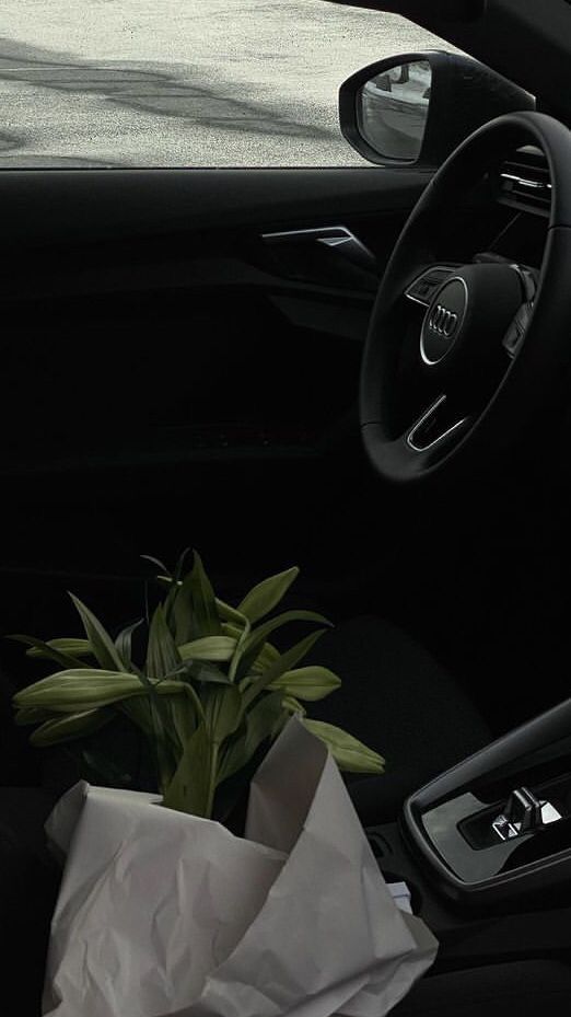 flowers; plants, home decor, drive, dark aesthetic Dark Minimalist Aesthetic, Dark Feeds, Fotografi Vintage, Dark Paradise, Gray Aesthetic, Classy Aesthetic, Foto Ideas Instagram, Jairzinho, Black Aesthetic Wallpaper