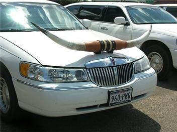 a white car with horns on it's hood parked in a parking lot next to other cars