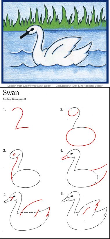 how to draw a swan for kids with numbers and pictures on the page, which is also