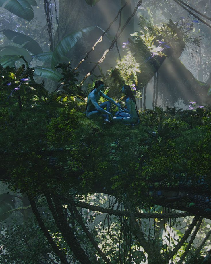 two people sitting in the middle of a forest surrounded by trees and plants with sunlight streaming through them