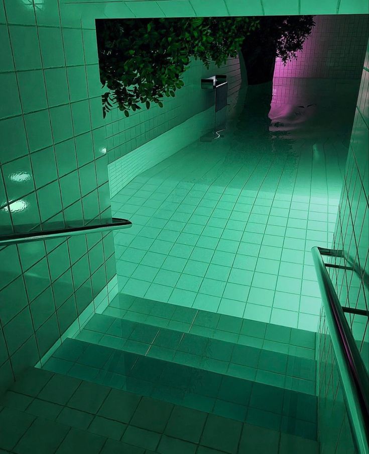 an empty green tiled bathroom with stairs leading up to the toilet area and trees in the corner